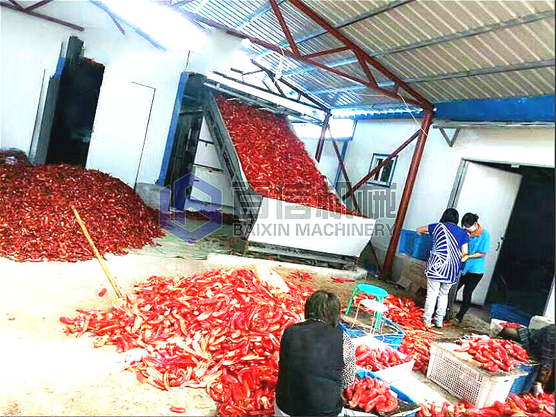 澧縣網帶辣椒烘干機