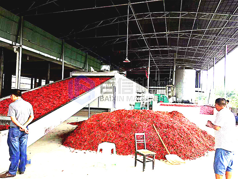 河南小型辣椒烘干機