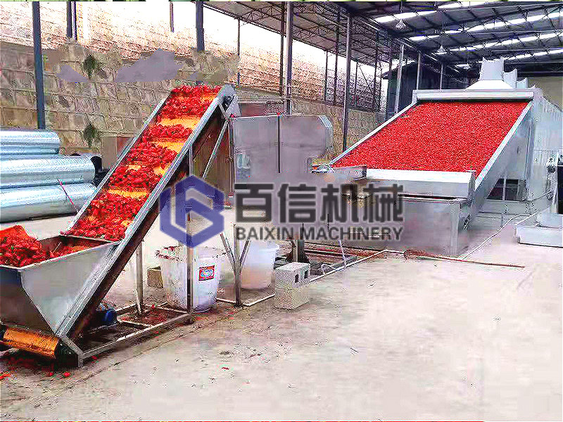 河南小型辣椒烘干機