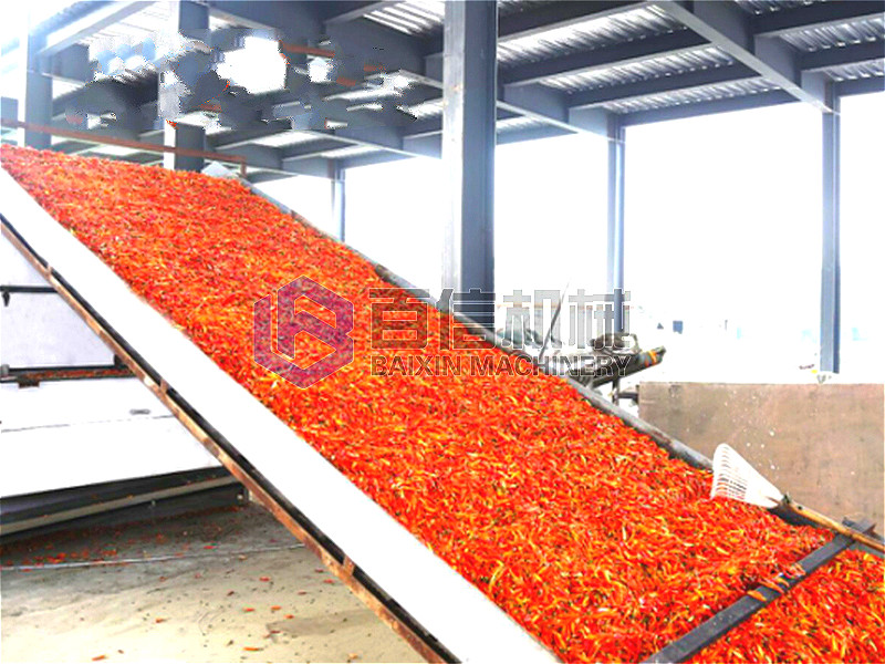 必成之心鑄就品質(zhì)——湖北猴頭菇專用辣椒烘干生產(chǎn)線引領(lǐng)行業(yè)變革